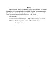 Kasko draudimas 2 puslapis