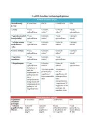 Kasko draudimas 11 puslapis