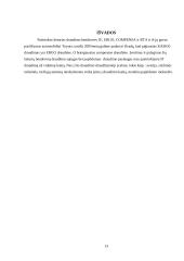 Kasko draudimas 13 puslapis