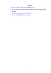 Kasko draudimas 14 puslapis