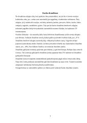 Kasko draudimas 3 puslapis