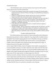 Kasko draudimas 6 puslapis