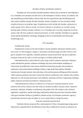 Kasko draudimas 7 puslapis