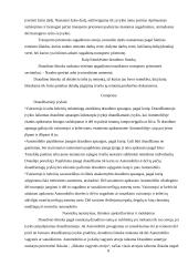 Kasko draudimas 8 puslapis