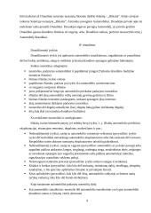 Kasko draudimas 9 puslapis