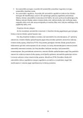 Kasko draudimas 10 puslapis