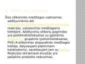 Atspaudinės medžiagos 17 puslapis