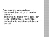 Atspaudinės medžiagos 19 puslapis