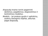 Atspaudinės medžiagos 3 puslapis