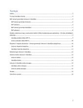 Ekonomikos referatas. Islandijos ir Lietuvos palyginimas 2 puslapis