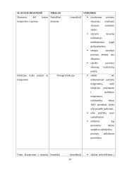 Hemofilija vaikų amžiuje 20 puslapis