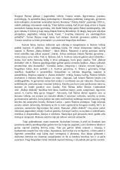 Ar grožinės literatūros kūrinyje atpažįstami autoriaus biografijos faktai padeda suprasti kūrinį ar trukdo? 2 puslapis