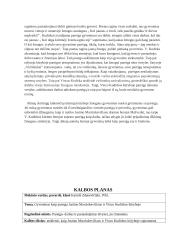 Gyvenimas kaip pareiga Vinco Kudirkos ir Justino Marcinkevičiaus  kūryboje 2 puslapis