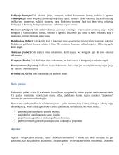 Kolektyvinio darbo sistemos 4 puslapis