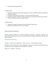 Kolektyvinio darbo sistemos 6 puslapis