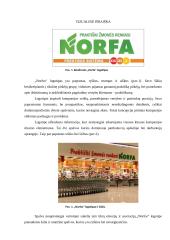 Norfa įvaizdžio analizė 6 puslapis