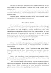 Norfa įvaizdžio analizė 7 puslapis