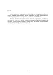 Aviacijos referatas: Didžiausi ir mažiausi lėktuvai pasaulyje, jų charakteristikos 2 puslapis