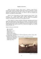 Aviacijos referatas: Didžiausi ir mažiausi lėktuvai pasaulyje, jų charakteristikos 16 puslapis