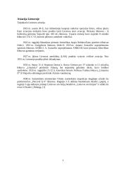 Aviacijos referatas: Didžiausi ir mažiausi lėktuvai pasaulyje, jų charakteristikos 4 puslapis