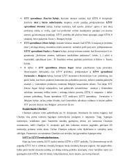 Teisingumo teismo konspektas 12 puslapis