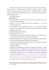 Teisingumo teismo konspektas 3 puslapis