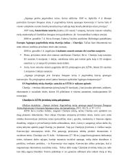 Teisingumo teismo konspektas 10 puslapis