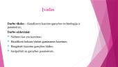 Kazeino gamybos technologija 2 puslapis
