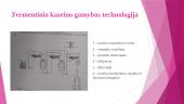 Kazeino gamybos technologija 11 puslapis