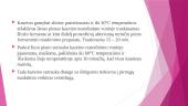 Kazeino gamybos technologija 12 puslapis