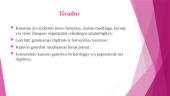 Kazeino gamybos technologija 15 puslapis
