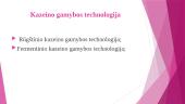 Kazeino gamybos technologija 4 puslapis