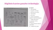 Kazeino gamybos technologija 5 puslapis