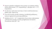 Kazeino gamybos technologija 6 puslapis