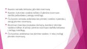 Kazeino gamybos technologija 8 puslapis