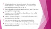 Kazeino gamybos technologija 9 puslapis