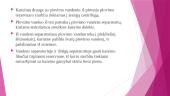 Kazeino gamybos technologija 10 puslapis