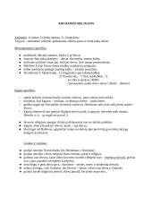 Kas yra religija? Apibrėžimo problema 3 puslapis