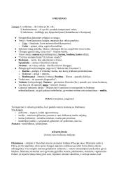 Kas yra religija? Apibrėžimo problema 4 puslapis