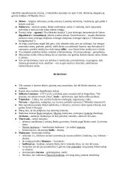 Kas yra religija? Apibrėžimo problema 5 puslapis