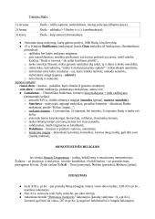 Kas yra religija? Apibrėžimo problema 6 puslapis