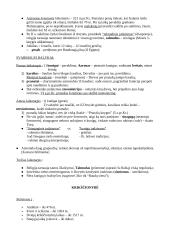 Kas yra religija? Apibrėžimo problema 7 puslapis