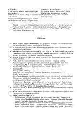 Kas yra religija? Apibrėžimo problema 10 puslapis