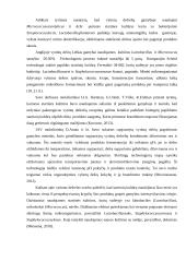 Vytintos dešrelės be apvalkalo kursinis darbas 4 puslapis