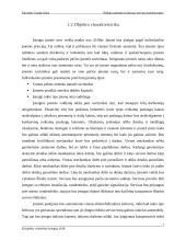 Lengvųjų automobilių kėbulo remonto ir dažymo serviso projektavimas 6 puslapis