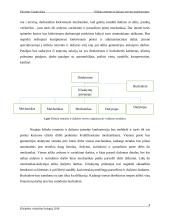 Lengvųjų automobilių kėbulo remonto ir dažymo serviso projektavimas 7 puslapis