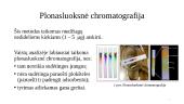 Chromatografija vaistų analizėje 4 puslapis