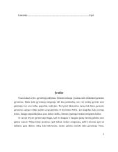 Rašto darbas apie emigraciją 2 puslapis