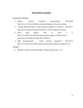 Rašto darbas apie emigraciją 10 puslapis