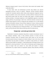 Rašto darbas apie emigraciją 3 puslapis